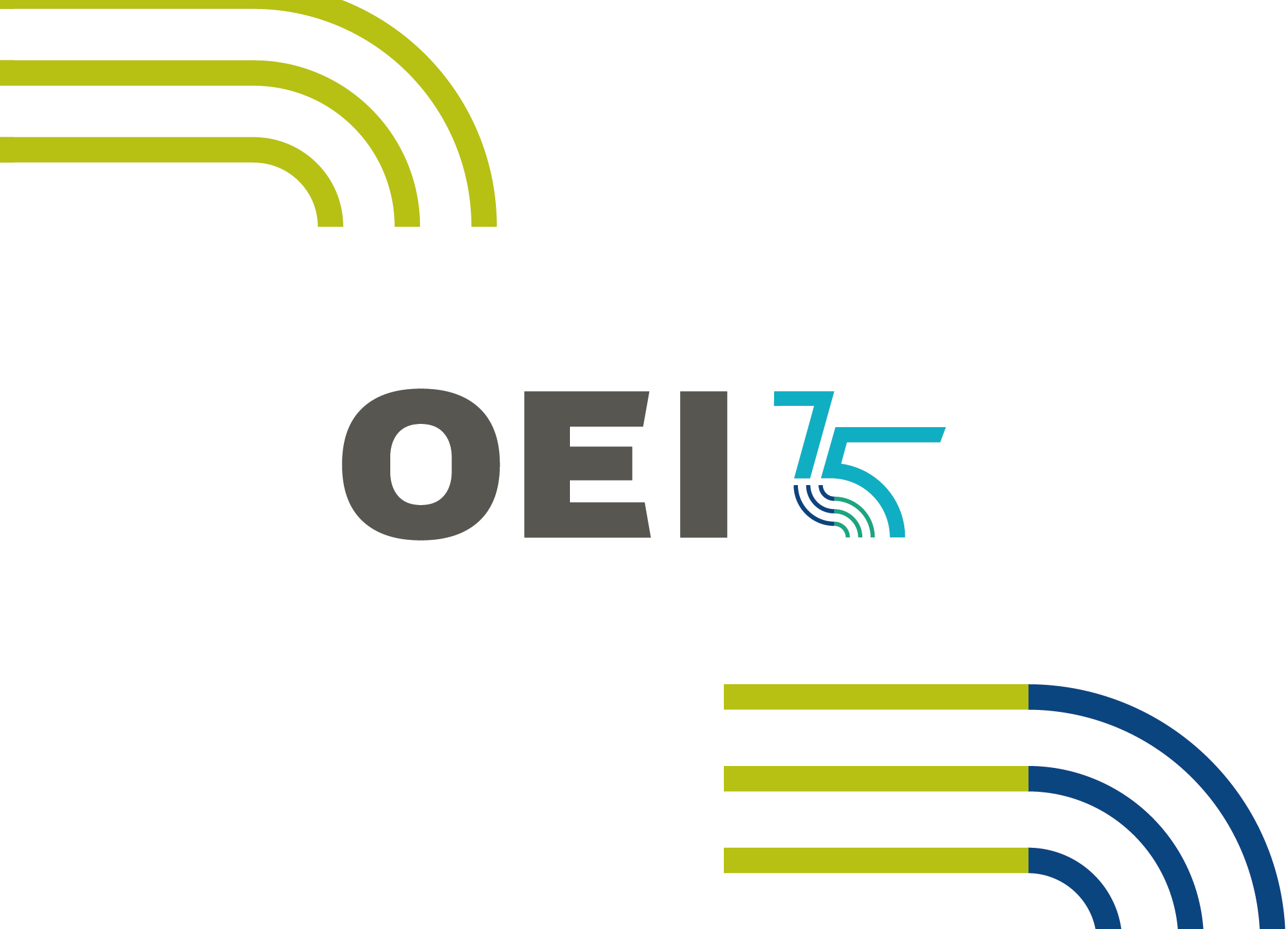 Educational, Scientific and Cultural Organization of Ibero-American States (OEI)